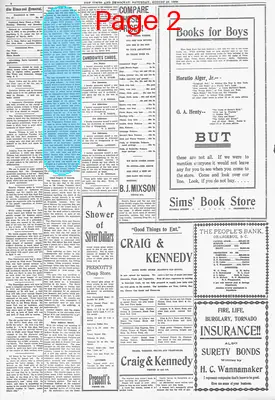 Page thumbnail for The Times And Democrat