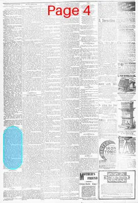 Page thumbnail for The Manning Times