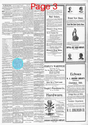 Page thumbnail for The Manning Times