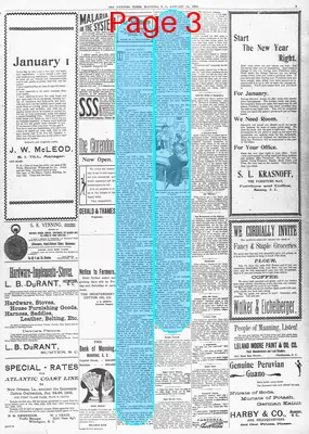 Page thumbnail for The Manning Times