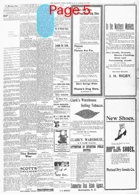 Page thumbnail for The Manning Times