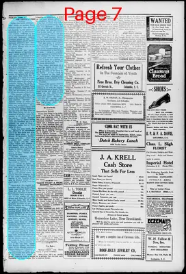 Page thumbnail for The Dispatch News