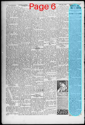 Page thumbnail for The Dispatch News