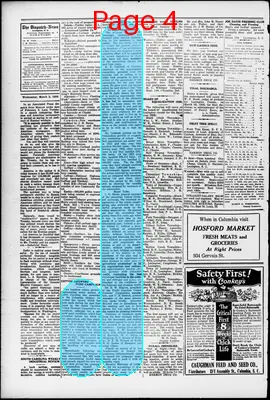 Page thumbnail for The Dispatch News