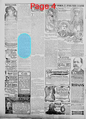 Page thumbnail for Fort Mill Times