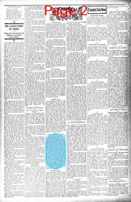 Page thumbnail for The Bamberg Herald