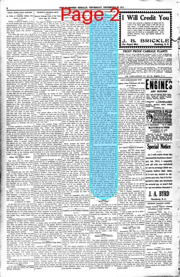 Page thumbnail for The Bamberg Herald