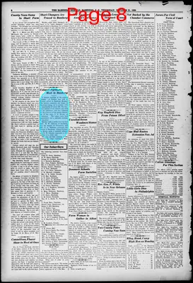 Page thumbnail for The Bamberg Herald