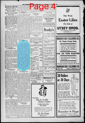Page thumbnail for The Bamberg Herald