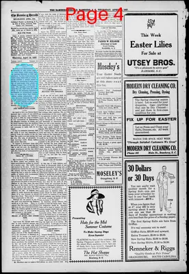 Page thumbnail for The Bamberg Herald