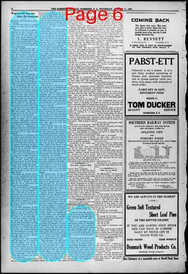 Page thumbnail for The Bamberg Herald