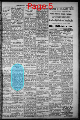 Page thumbnail for Fort Worth Daily Gazette