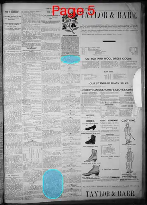 Page thumbnail for Fort Worth Daily Gazette