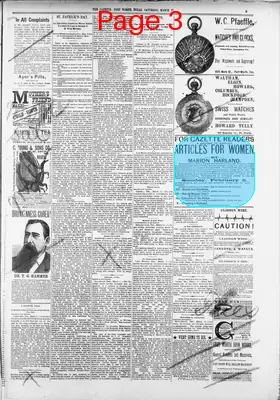 Page thumbnail for Fort Worth Daily Gazette