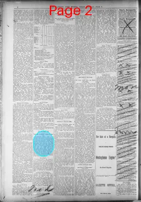 Page thumbnail for Fort Worth Daily Gazette