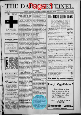 Page thumbnail for The Daily Sentinel