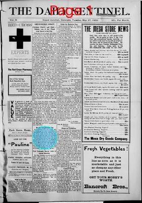 Page thumbnail for The Daily Sentinel