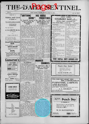 Page thumbnail for The Daily Sentinel