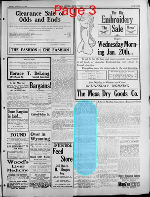 Page thumbnail for The Daily Sentinel