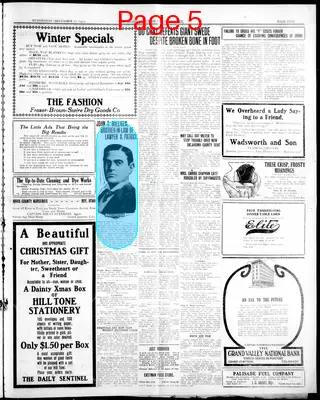 Page thumbnail for The Daily Sentinel