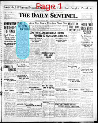 Page thumbnail for The Daily Sentinel