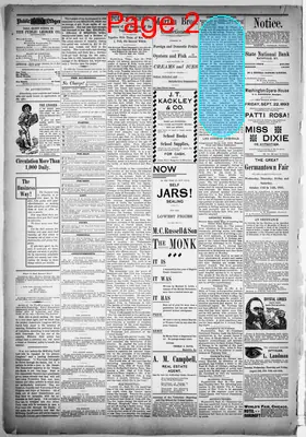 Page thumbnail for Daily Public Ledger