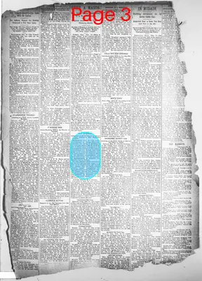 Page thumbnail for Daily Public Ledger