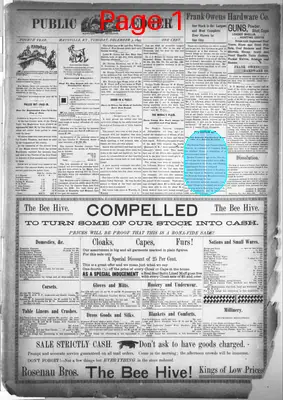 Page thumbnail for Daily Public Ledger