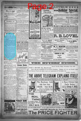 Page thumbnail for Daily Public Ledger