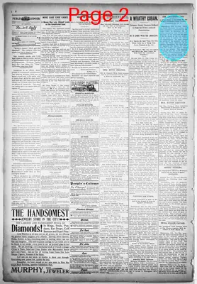 Page thumbnail for Daily Public Ledger