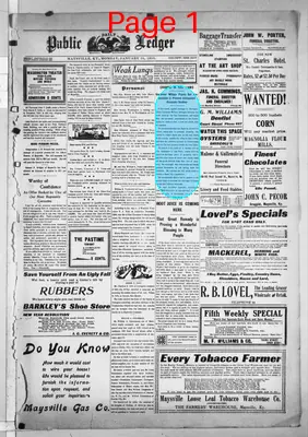 Page thumbnail for Daily Public Ledger