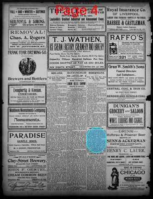 Page thumbnail for Kentucky Irish American
