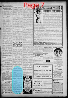 Page thumbnail for The Breckenridge News