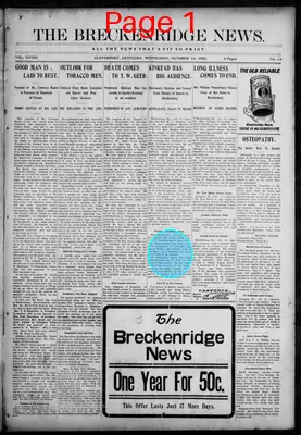 Page thumbnail for The Breckenridge News