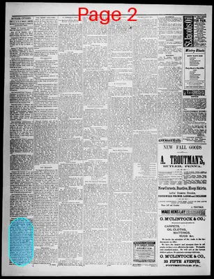 Page thumbnail for Butler Citizen