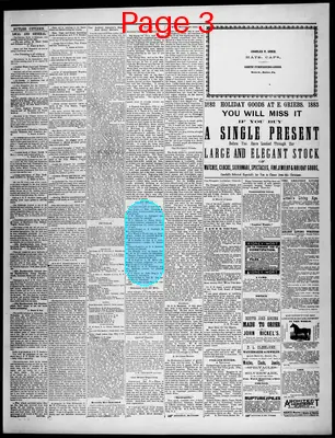 Page thumbnail for Butler Citizen