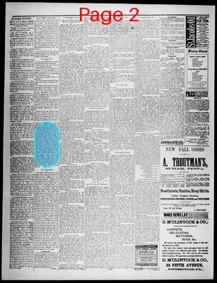 Page thumbnail for Butler Citizen