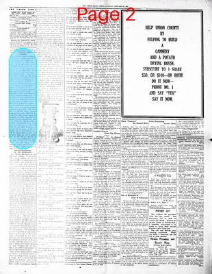 Page thumbnail for The Union Daily Times