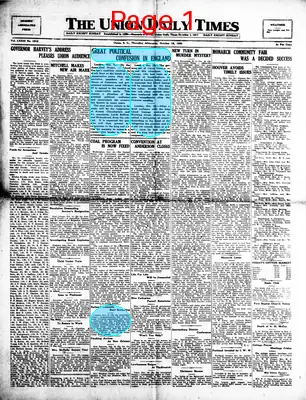 Page thumbnail for The Union Daily Times