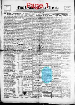 Page thumbnail for The Union Daily Times