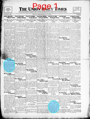 Page thumbnail for The Union Daily Times