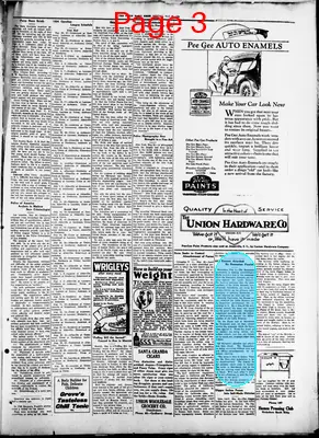 Page thumbnail for The Union Daily Times