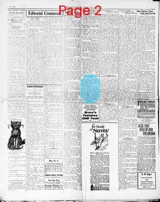 Page thumbnail for The Union Daily Times
