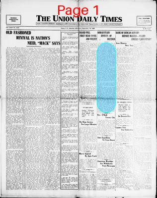 Page thumbnail for The Union Daily Times