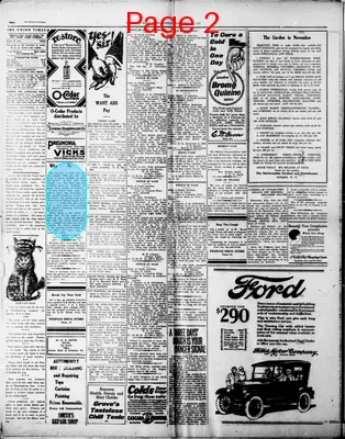 Page thumbnail for The Union Daily Times