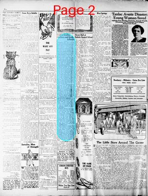 Page thumbnail for The Union Daily Times