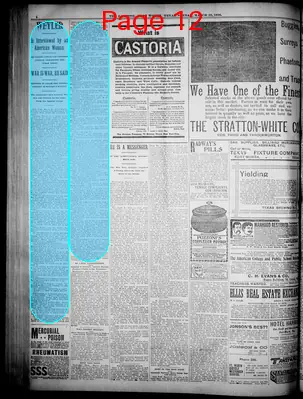 Page thumbnail for Fort Worth Gazette
