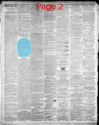 Page thumbnail for The Daily Nashville True Whig