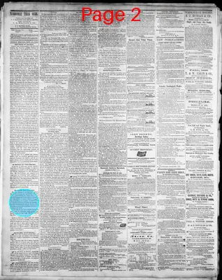 Page thumbnail for The Daily Nashville True Whig