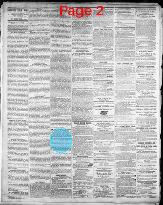 Page thumbnail for The Daily Nashville True Whig
